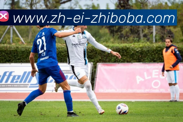 App Interface Preview