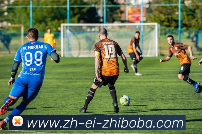 数据防护可视化